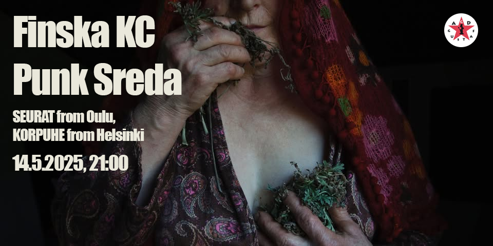 Finska hardcore punk sreda